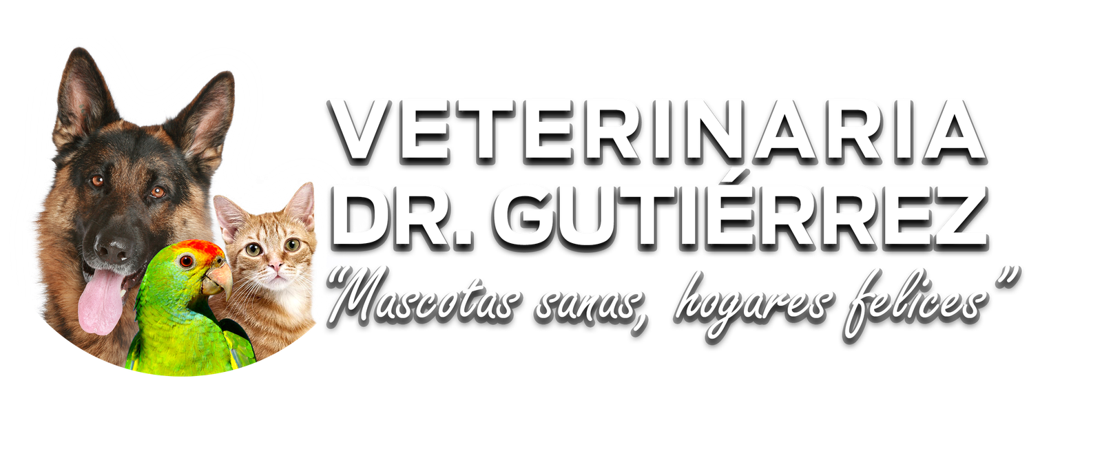 Veterinaria Dr. Gutiérrez